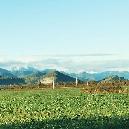 Ferienwohnung T3 Au Pied Des Pyrenees Pointis-de-Riviere Exterior foto